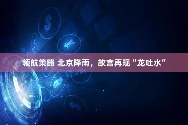领航策略 北京降雨，故宫再现“龙吐水”
