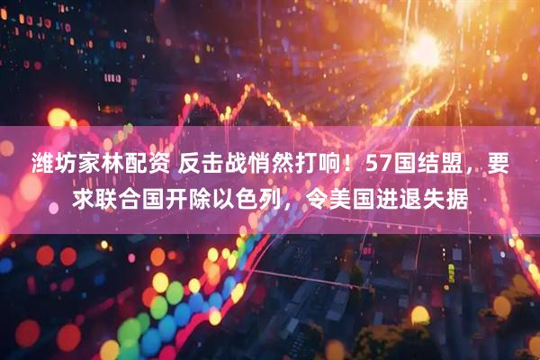 潍坊家林配资 反击战悄然打响！57国结盟，要求联合国开除以色列，令美国进退失据