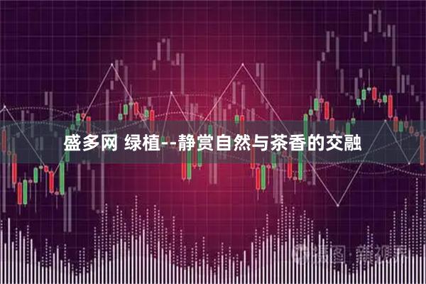 盛多网 绿植--静赏自然与茶香的交融