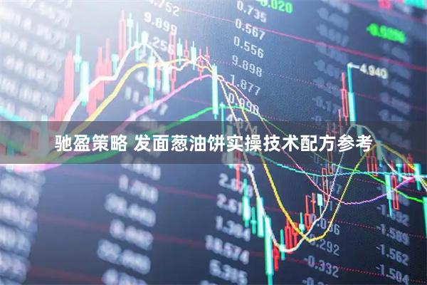 驰盈策略 发面葱油饼实操技术配方参考